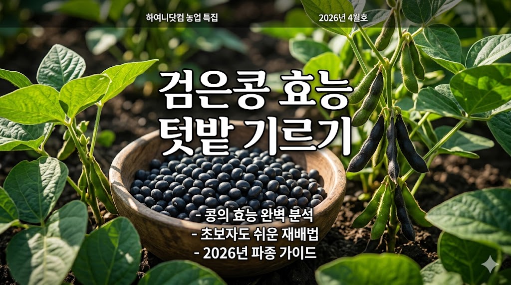 검은콩 효능 텃밭