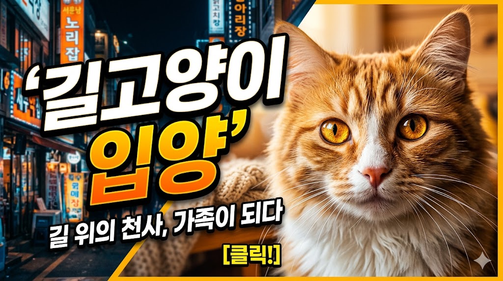 길고양이 입양