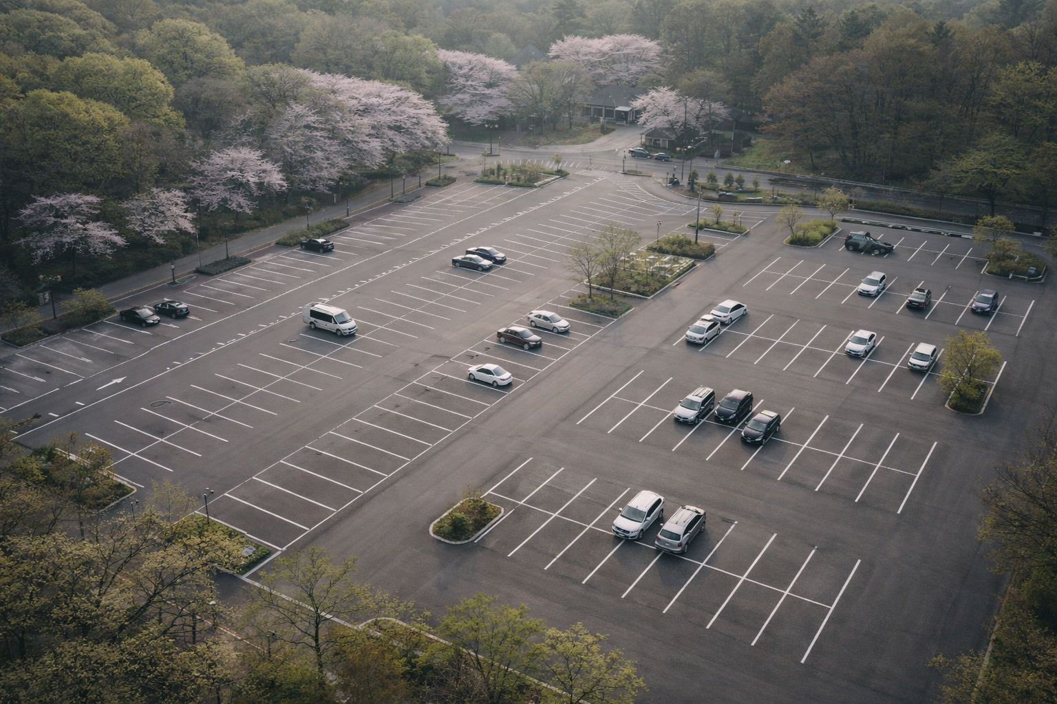 봄날의 공원 주차장 풍경