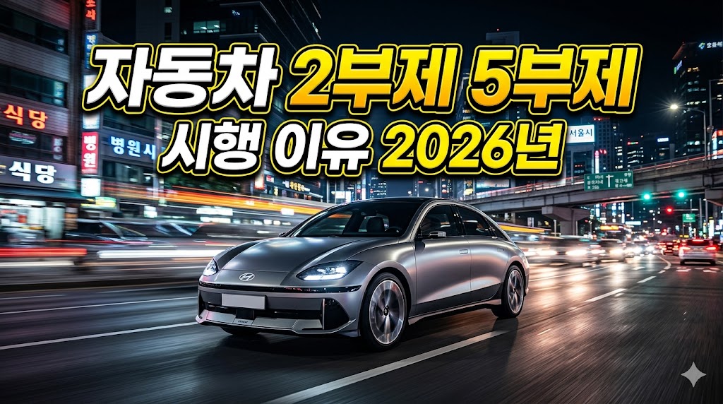 자동차 2부제 5부제